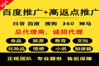 百度推广实战案例：优化广告投放策略
